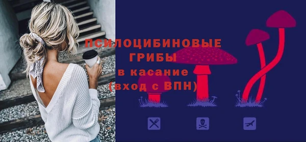 ALPHA PVP Горнозаводск