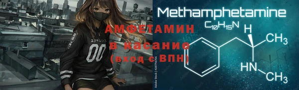 шишки Горно-Алтайск