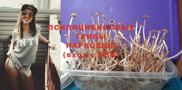 ALPHA PVP Горнозаводск