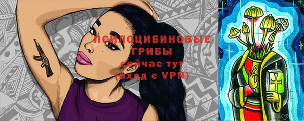 шишки Горно-Алтайск