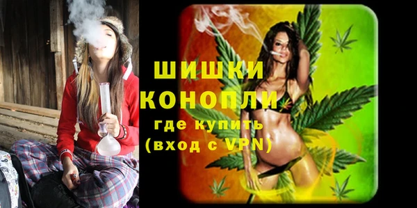 ALPHA PVP Горнозаводск