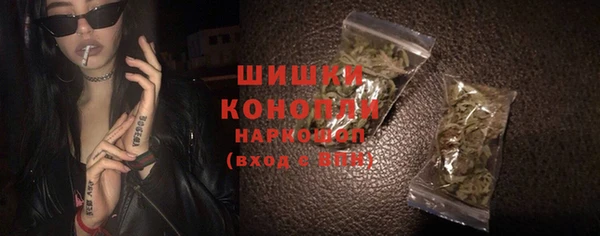 шишки Горно-Алтайск