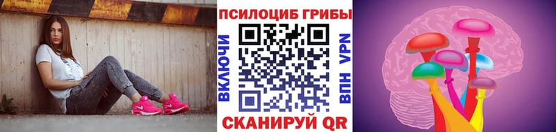 Купить  Ленск  Псилоцибиновые грибы Cubensis 